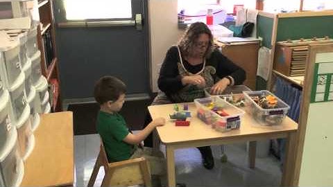 Natural Environment Teaching NET