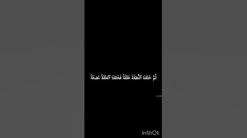 قرآن سورة المؤمنون قراءه الشيخ ياسر الدوسري #اكسبلور #قرآن #سورة_المؤمنون #هاشتاق 