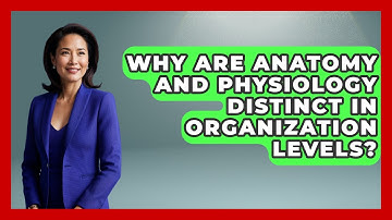 Why Are Anatomy And Physiology Distinct In Organization Levels? - All About Anatomy Answers