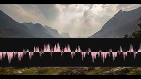 Squeezeboxvibrato Inscription ejsitjlqql