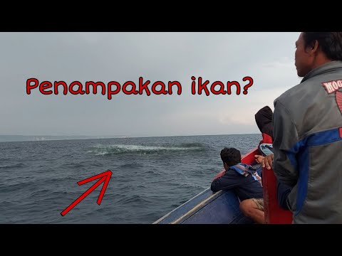 Nelayan Prigi KM