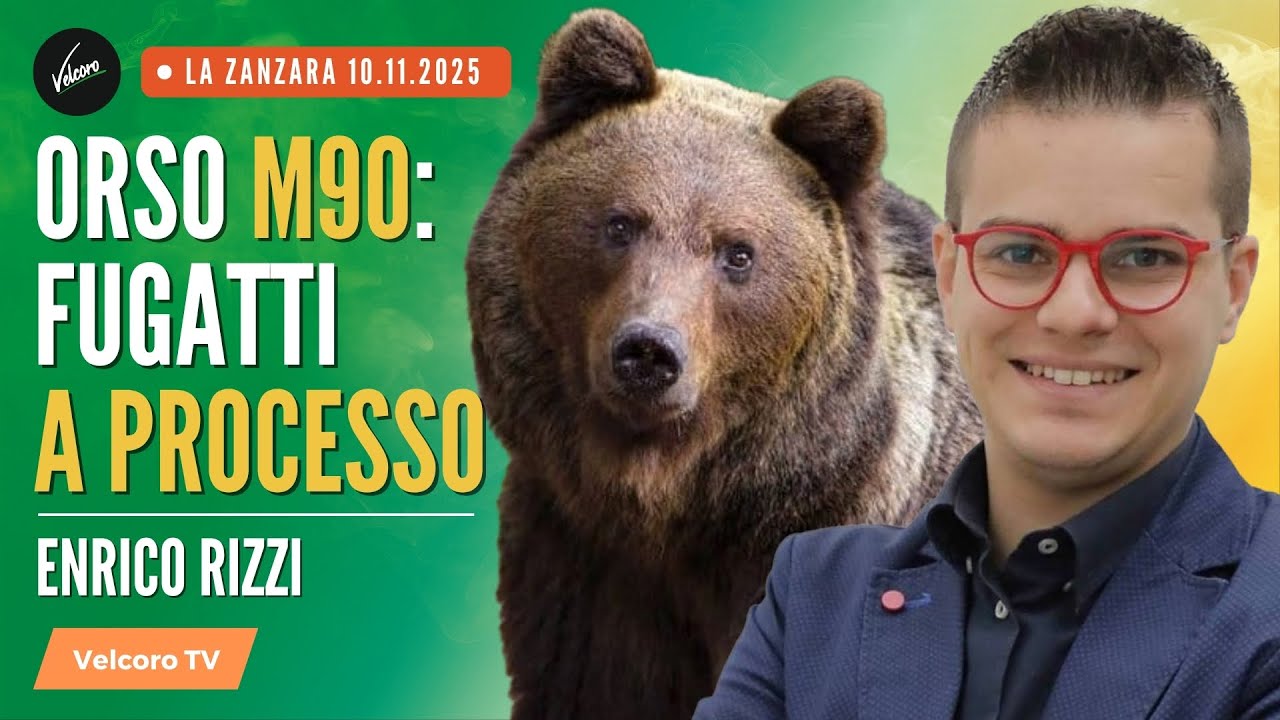 Orso M90: Fugatti A PROCESSO - Enrico Rizzi | La Zanzara del 10.11.2025