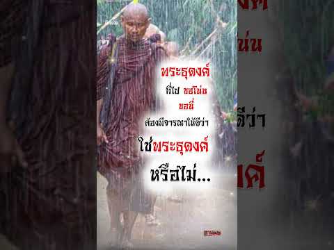 วีดีโอ: เชลยที่ถูกลืม: ใครคืออุซเบกที่ถูกพวกนาซีในฮอลแลนด์ฆ่า?