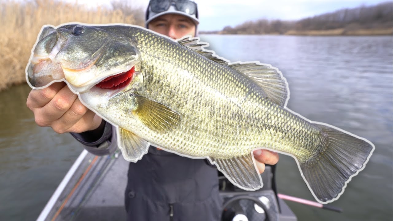 INSANE DAY of Bass Fishing // Braidwood Opening Day 2022