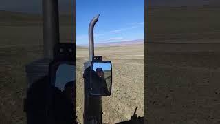 Massey Ferguson Ile 3 Lü Pullukla Tarla Sürüyoruz