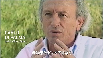 映画『水と砂糖のように』劇場予告11/30(土)公開