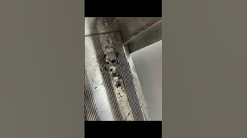 Seeing Faces in Everyday Objects - Part 65 #pareidolia #shorts #illusion