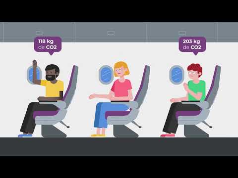 Video: Sostenibilidad de las aerolíneas