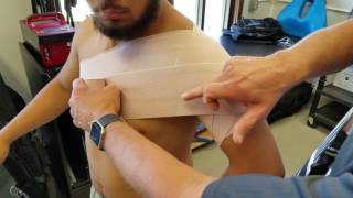 ACE elastic bandage wrap for shoulder