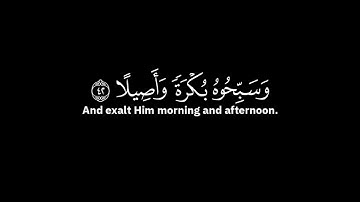 ايات قرانية سوره الاحزاب (شاشه سوداء)