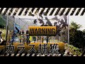 カラス捕獲 crow hunt