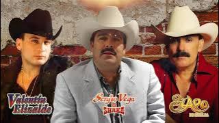 VALENTÍN ELIZALDE, EL CHAPO DE SINALOA, SERGIO VEGA: Éxitos Románticos de Banda Que Marcaron Época