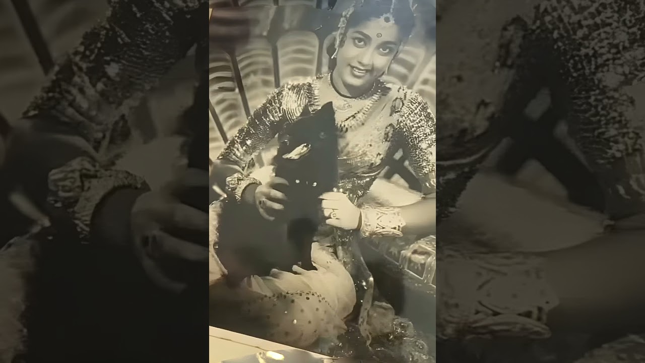 old actress jamuna |veteran actress |shorts