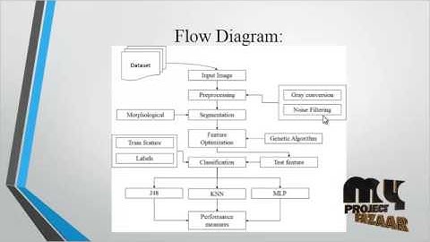 Brain Metastases Detection Methods in Magnetic Resonance | Final Year Projects 2016 - 2017