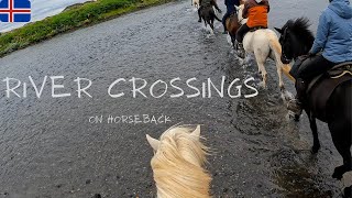 River crossings on horseback in Iceland | 4K | No music, just the splashing of water