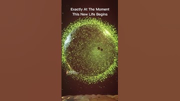 ⚡️ MAGICAL: When Sperm Meets Egg #shorts #pregnancy