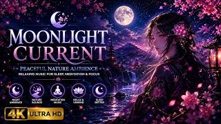 Moonlight Current ๐ Gentle River Under the Moon | Relaxing Water Sounds & Night Ambience (4K UHD)