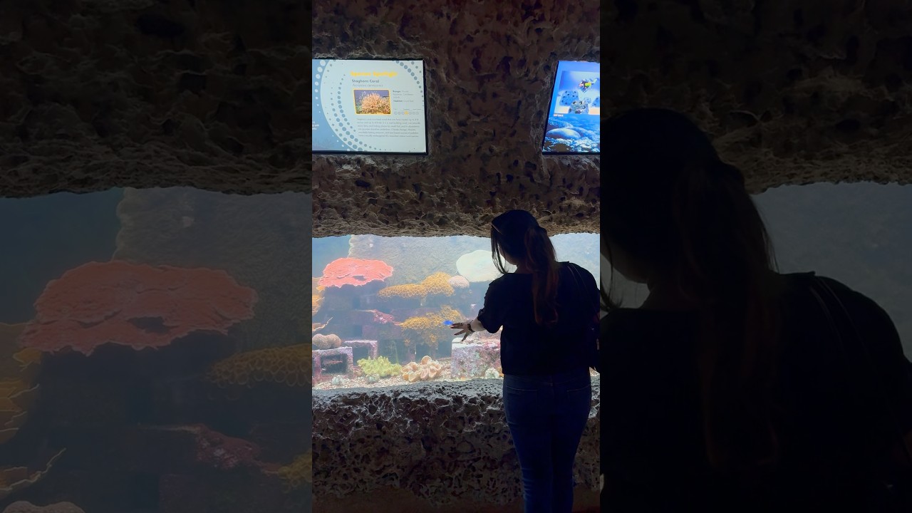 Follow me on IG for more aesthetic content, IG- @Charmingclick 