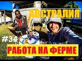 РАБОТА НА ФЕРМЕ В АВСТРАЛИИ. GATTON. ПОКУПАЮ СИМ КАРТУ. ЗАКАНЧИВАЮТСЯ ДЕНЬГИ.