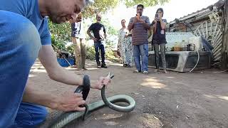 Black Mamba inside a mechanic's storeroom!