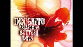 Incognito ft Vanessa Haynes - Love Be The Messenger
