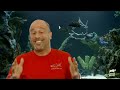 The Craziest Fish Tanks Ever Built | Tanked | Animal Planet