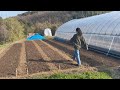 将来の目標,YouTube,顔出しについてのお話し【まったりラジオ風配信】　＃耕さない農業