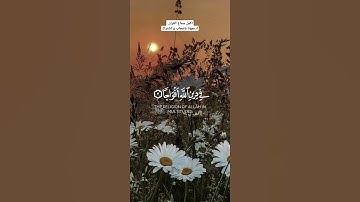 سورة النصر بصوت القارئ خالد الجليل #قران_كريم #quran #قرآن