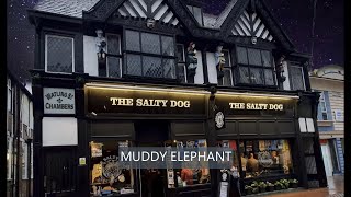 Muddy Elephant @ The Salty Dog Northwich 20th August 2021