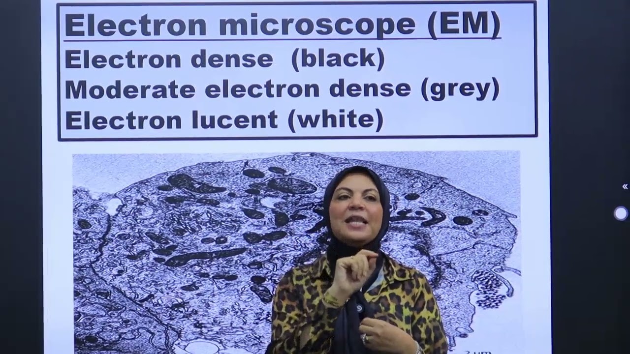 الحصة الثالثة هستولوجى 101  د/ داليا