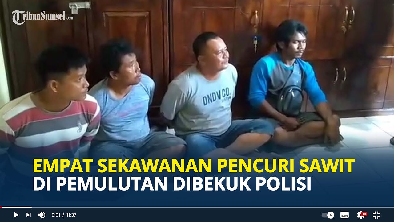 Empat Sekawanan Pencuri Sawit di Pemulutan Dibekuk Polisi | Satu Tersangka Anak Buah Bos Sawit