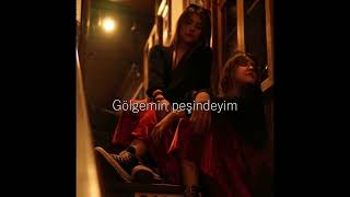 Ayşegül Fırat - Gölge Resimi