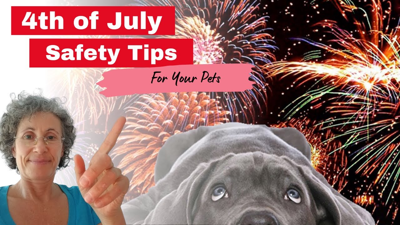 4th of July - Keep Your Pets Safe and Calm - YouTube