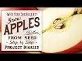 ★ Why You Shouldn't grow Apples from Seed (Tips on Grafting & Budding)