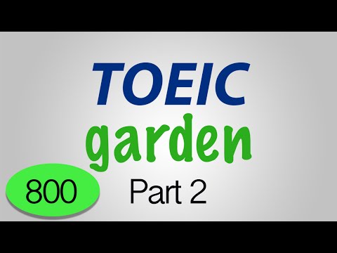 TOEIC 800 -