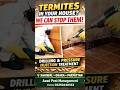 How to Eliminate Termites from Your House? Drilling &amp; Injection #termites #shorts #injection #colony