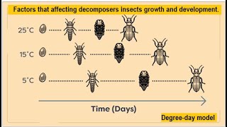 insect development | factors affecting decomposer growth and development |Juvenile grow Module 05.04