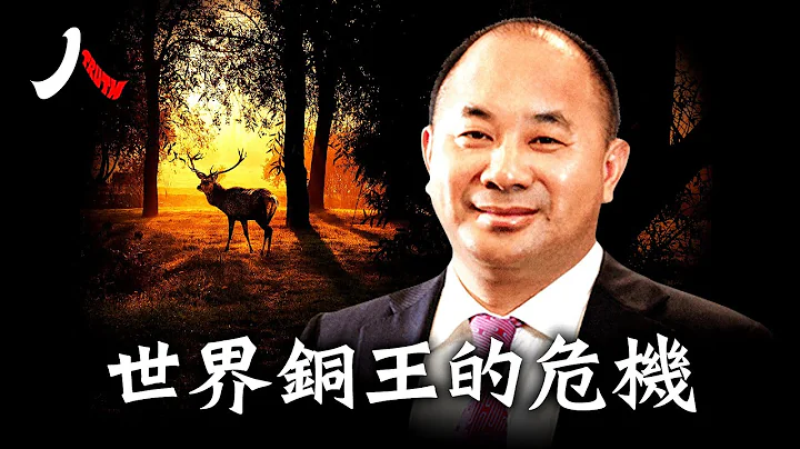 王文銀——捲入許家印戰略局的「世界銅王」| #王文銀 #許家印 #恆大 #世界銅王|【#人物真相】 - 天天要聞