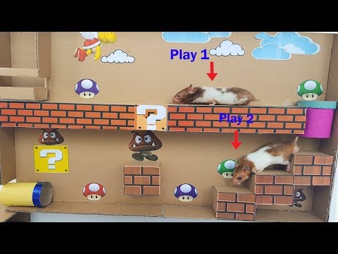 hamster-super-mario-bros---cute-hamster-highest-level-super-mario-maze