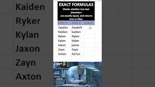 Excel EXACT Function Explained