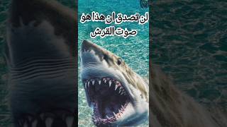 هاد هو صوت القرش ??#shorts #shortvideo