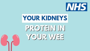 Urine protein tests for Chronic Kidney Disease (proteinuria) | UHL NHS Trust