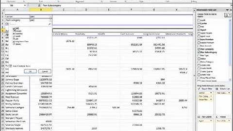 Using Pivot Tables in Excel 2010