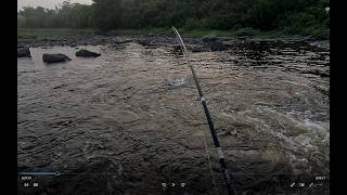 Newfoundland, Atlantic Salmon Fun Fishing, Aug 7 2026