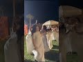 دبكه لانا وساره الورع في حفلة عيد ميلاد رينا لانا محمد جيش لنوش اكسبلور سارة عصام الورع 