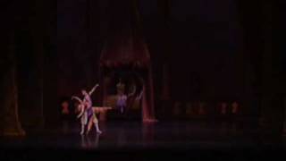 The Nutcracker Arabian Pas
