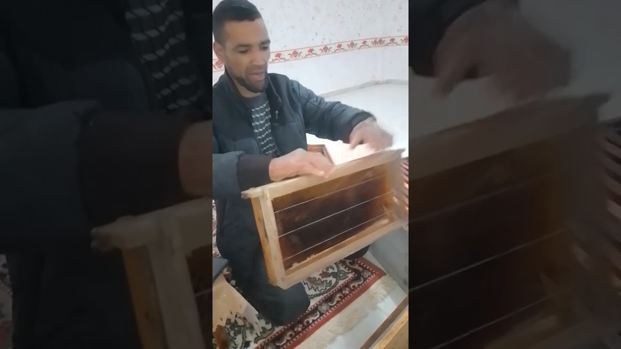 كيفية رفع العسالة