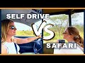 Self drive safari vs guided safari in kruger park 