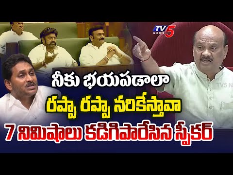 అంతు చూస్తాం.. | Speaker Ayyanna Patrudu Serious on YSRCP MLA's | YS Jagan | AP Assembly | TV5 News - TV5NEWS