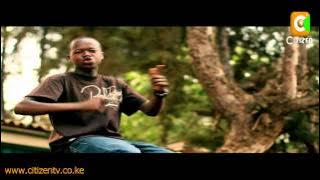 Mseto East Africa 2012